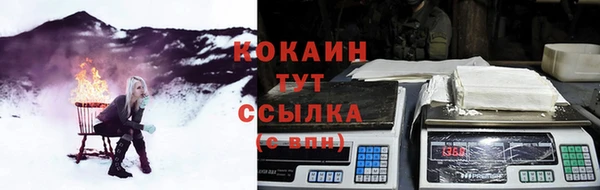сатива Армянск