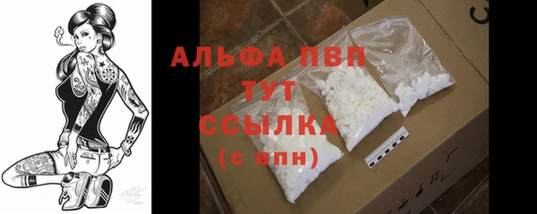 сатива Армянск