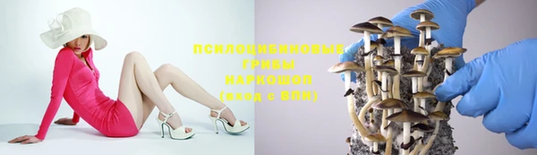 сатива Армянск