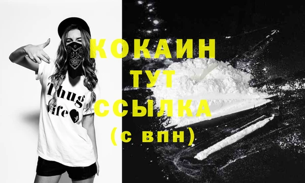 Альфа ПВП Аркадак