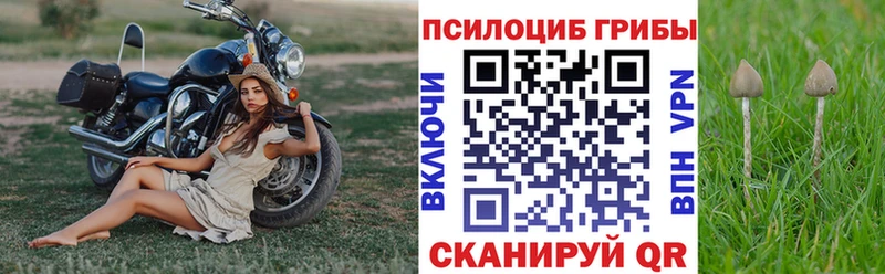 Псилоцибиновые грибы мухоморы  Шуя 
