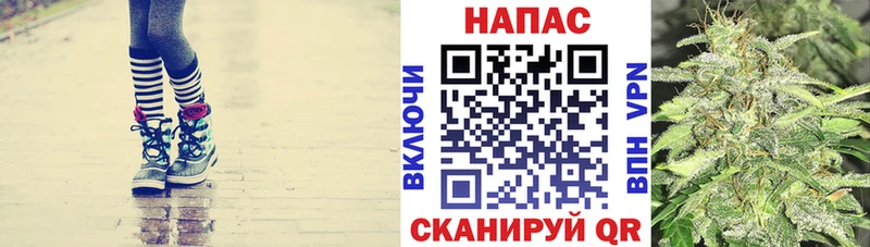 Бошки Шишки Amnesia Шуя